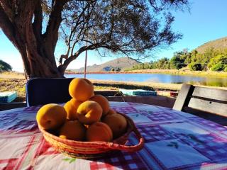 Rustic Farm Getaway Die Dam huis - 9