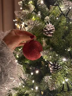 Sobiczkowy Dwór Apartament -Kasprowy Wierch Premium DeLuxe & SPA - 1