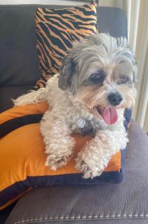 Maison Blue - Chic Garden Apartment - Pet Friendly - 9