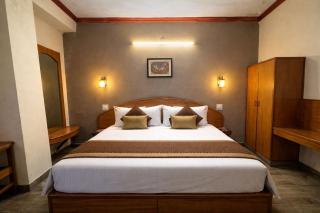 Hotel Tara Innn #Mountain view #Rooftop terrace - 7