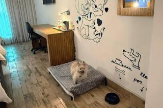 Radisson Hotel & Convention Center Toluca - 4