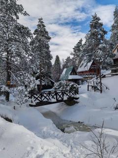 Borovi snovi Divčibare - 8