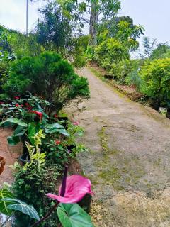 Nine Arch Corner - 5