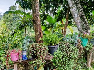 Nine Arch Corner - 3