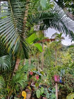 Nine Arch Corner - 2