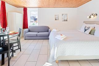 Bergstudio I Arosa I See I Berg I Ski - 2