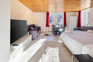 Bergstudio I Arosa I See I Berg I Ski - 6