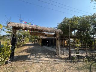 Hostel Jungle Beats - 0