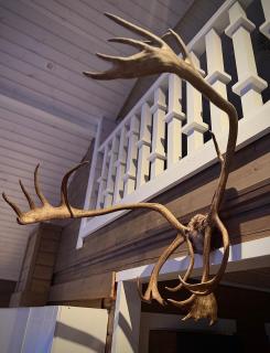 ReindeerCabin PoroMökki LEVI - 4
