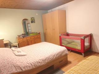 Apartman 1 RIBIČ - Ogulin - 4