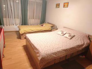 Apartman 1 RIBIČ - Ogulin - 9