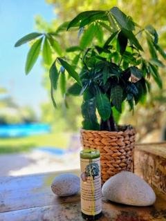 Zen House with Fairytale Garden & Sea View - 8