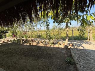 Hostel Jungle Beats - 3