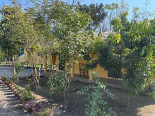 Hostel Jungle Beats - 7