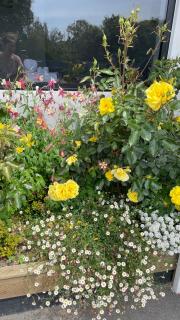 Central located new build 3 bed rooms entire house - Oamaru - 3