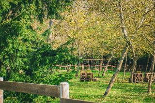 Lunigiana Experience - 5