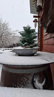 La Cabane du Trappeur - 6