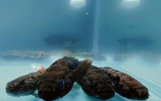 Li Tour International Hotel - 7