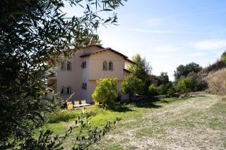 Olive stone Villa - 5