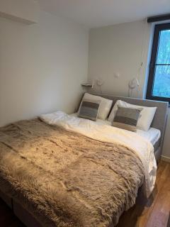 De Toekan Lodge seaside cottage by the dunes - 4