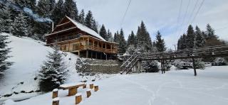 Cabana Cota 1000 Arieseni - 8