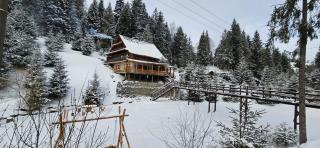 Cabana Cota 1000 Arieseni - 9