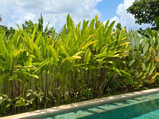 Villa YAOUH à Seseh - 3