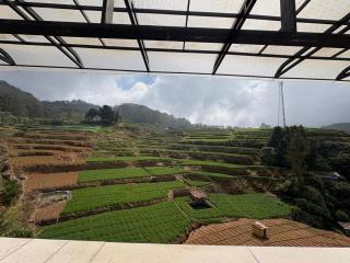 Rozana Retreats Ooty - 9