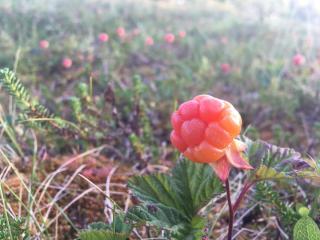 Apartment in the center of the village - 8