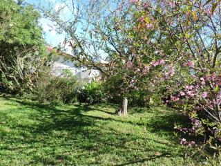 Relais du Volcan - La Plaine des Cafres - 2