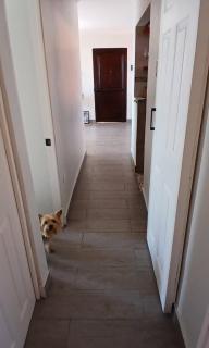 Habitación en departamento compartido sector el morro - 4