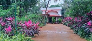 The Cozy Nest - Sigiriya - 6
