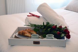 BASEL TERRACES with balcony and free parking - 2