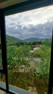 Harmony home Dilijan , entire home , дом целиком - Dilidzjan - 2