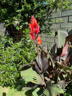 Cabaña Nueva residencial - 6