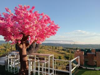 บ้านไร่เก็บตะวันโฮมสเตย์น้ำหนาว - 7