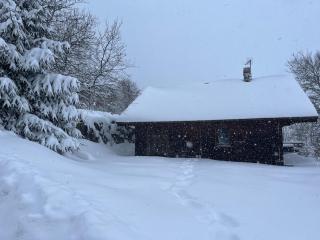 Chalet Gaby - chalet atypique avec SPA - 7