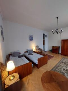 Bright, Spacious Classic Apartment in the City Center - 2