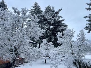 Chalet dell'Orso - 5