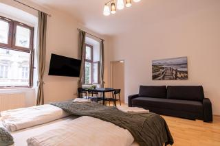 Comfortable 2-Bedroom Apartment in Vienna - 4