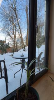 Blossom Suite - Lviv - 3