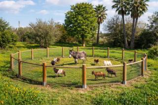 Villa De Santis Gallipoli Relax e Natura - Gallipoli - 6