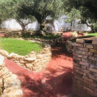 Barreira beachfront Tents 9 - 4