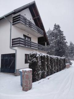 Zlatibor Tornik View - 7