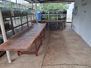 Fortune Room Stay 1 - 1