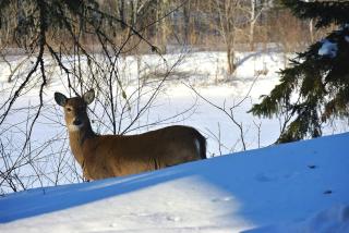 "Ecológico con Piscina Climatizada" y Sauna!! - 0