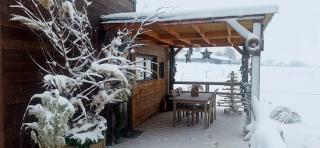 Tiny housse serenity avec jacuzzi - 9