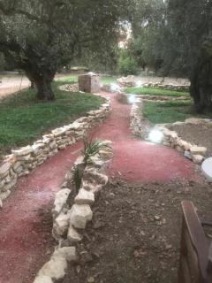 Barreira Beachfront Tents 11 - 5