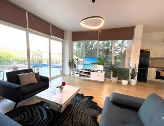 Luxury Tirana Villa Lake View - 1