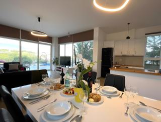 Luxury Tirana Villa Lake View - 4